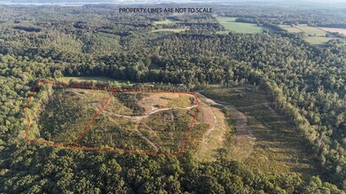 00 Flatwoods Rd, Camden, TN 38320 - photo 4