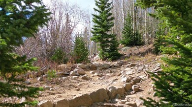 South Lot Chicago Creek Rd, Idaho Springs, CO 80452 - photo 6