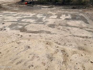 0000 Highway 90, Grand  Ridge, FL 32442 - photo 7