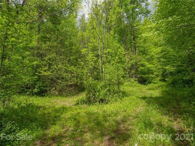 Small clearing on the property.