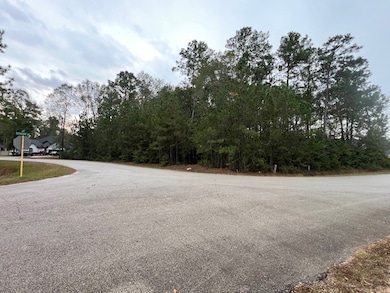 27702 Colapis Dr, Splendora, TX 77372 - photo 2