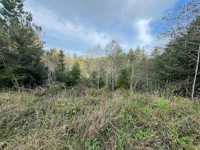 481 Appian Way, Winchester Bay, OR 97467 - photo 2