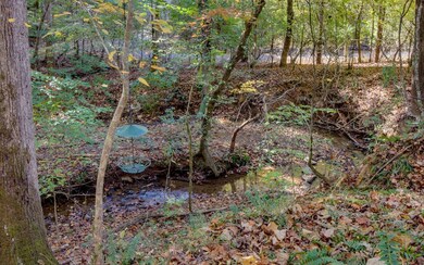 Additional View