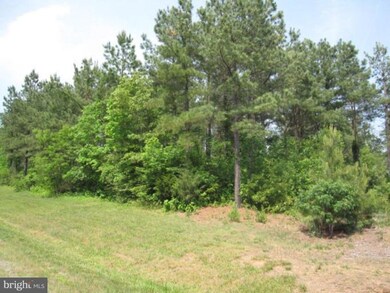 0 Governors Point Ln unit 1004628938, Unionville, VA 22567 - photo 7