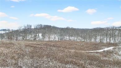 3942 Potato Garden Run Rd, Imperial, PA 15126 - photo 5