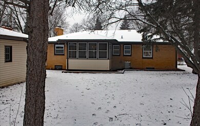 4 back yard