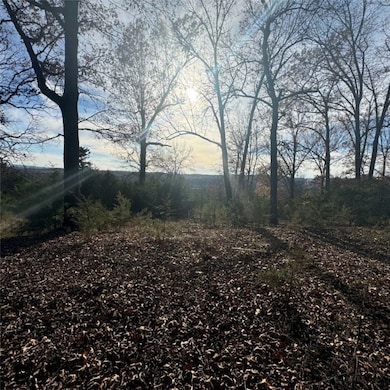 2465 Denton Ferry Rd, Cotter, AR 72626 - photo 6