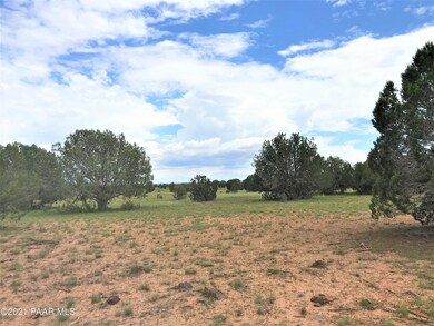 111 Gleed Station Rd, Ash Fork, AZ 86320 - photo 5