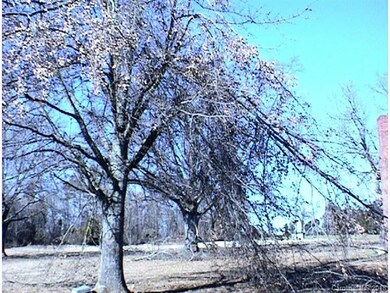 2480 Reepsville Rd, Lincolnton, NC 28092 - photo 4