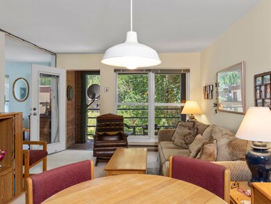 210 South Pine Street Fall Line 206-013-