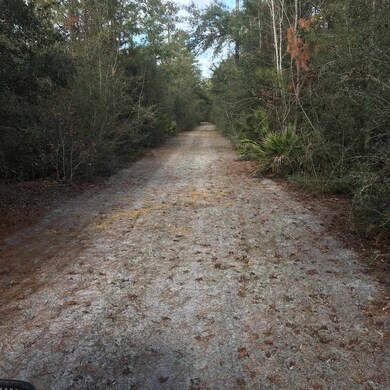 XXX Danley Grade, Crawfordville, FL 32327 - photo 7