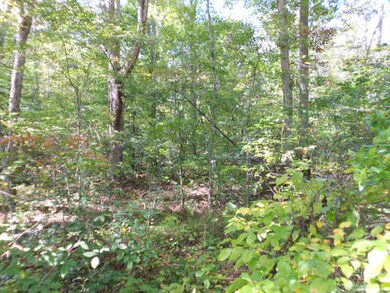 0 Lea Lakes unit 866370, Blaine, TN 37709 - photo 2