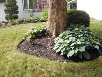 Front yard landscaping