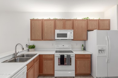 Sleek Minimalist Kitchen