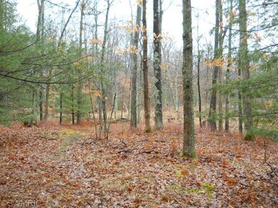 1414 Beaver Rd, Lilley Township, MI 49309 - photo 5