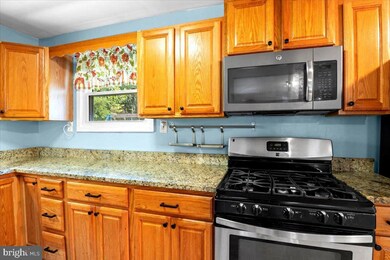 7141 Eggbornsville Rd, Rixeyville, VA 22737 - photo 7