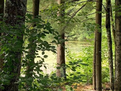 6 Lonesome Pine Trail, Gansevoort, NY 12831 - photo 6