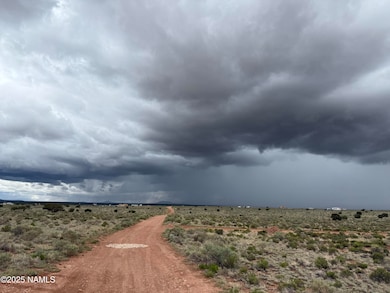 2607 E Valle Rd, Valle, AZ 86046 - photo 3