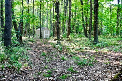 0 Old Stage Rd unit 73118454, Ashfield, MA 01330 - photo 4