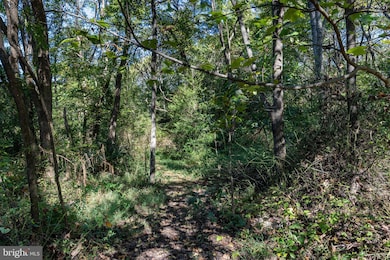 0 Orange Rd unit VAMA2002476, Pratts, VA 22731 - photo 4