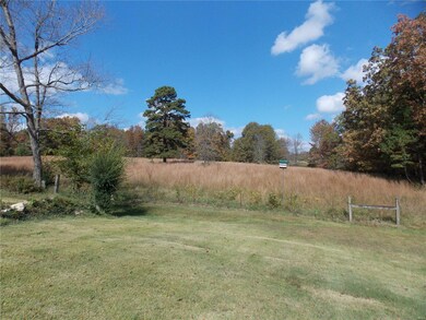 455 County Road 466, Poplar Bluff, MO 63901 - photo 5