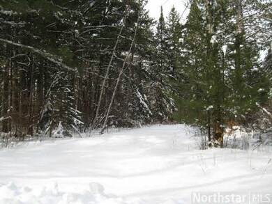 46877 187th Place, McGregor, MN 55760 - photo 3