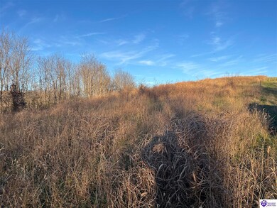 8AC Tucker Rd, Greensburg, KY 42743 - photo 4