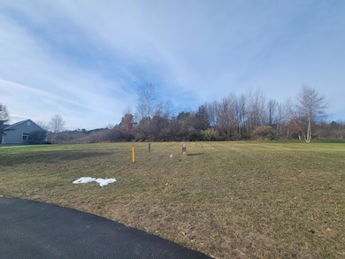 5178 Shore View Cir, Bingham Township, MI 49682 - photo 6