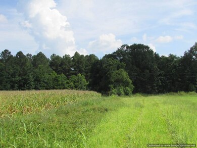 Hwy 43, Canton Mississippi 43, Canton, MS 39046 - photo 5
