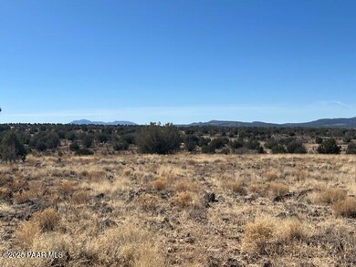 0 Water Crest Ln unit PAR1071154, Paulden, AZ 86334 - photo 3