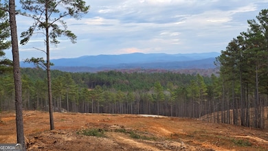 108 Staunton Ct, Ellijay, GA 30540 - photo 6