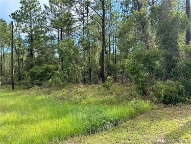 9899 N Lathyrus Terrace, Citrus Springs, FL 34433 - photo 2