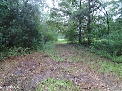 0 Sweetbay Ln unit 4120426, Wiggins, MS 39577 - photo 7