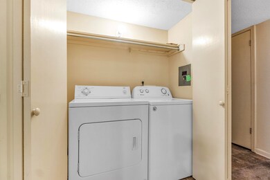 Clothes washing area with carpet floors, washing m