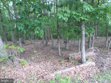 0 Timber Ridge unit WVMO115470, Berkeley Springs, WV 25411 - photo 5