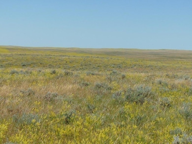 Tbd Wilder Trail, Roy, MT 59471 - photo 4