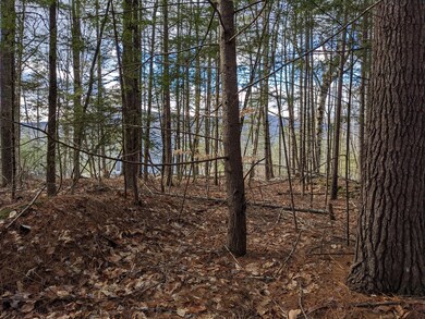 0 Fernald Hills Way unit 1532854, Stow, ME 04037 - photo 3