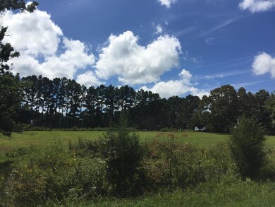 This is a beautiful tract of land and is gently sloped with no flooding problems.