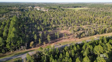 0 Archie Rd, Elberta, AL 36530 - photo 6