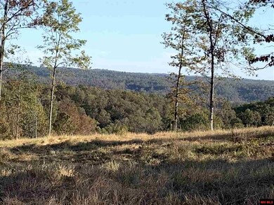 00 Tomahawk Slab Rd, Saint Joe, AR 72675 - photo 6