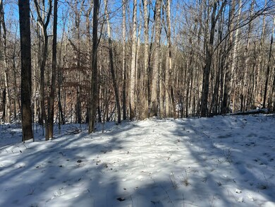 320 Waterwheel Way, Sequatchie, TN 37374 - photo 5