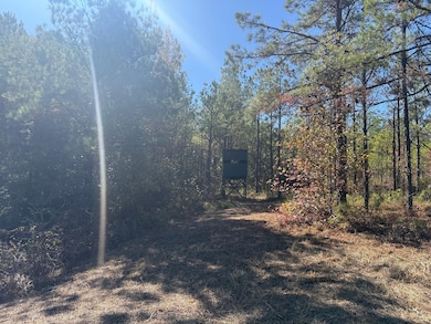 0 Backbone Church Rd unit 25581317, Gordo, AL 35466 - photo 6