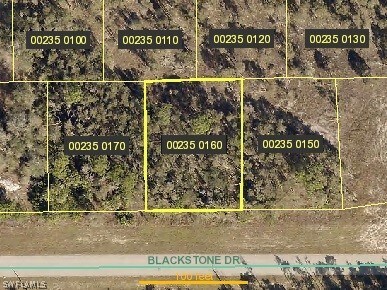 259 Blackstone Dr, Lehigh Acres, FL 33913 - photo 3