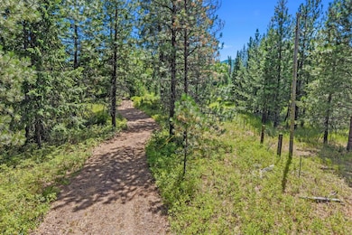 NNA Dry Creek Rd unit Lot 2, Chewelah, WA 99109 - photo 3