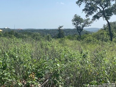 14702 Iron Horse Way, Helotes, TX 78023 - photo 3