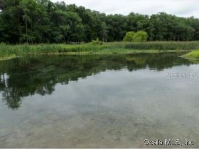 10995 SW 189th Ave, Dunnellon, FL 34432 - photo 5