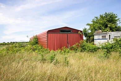 IMG_7329
