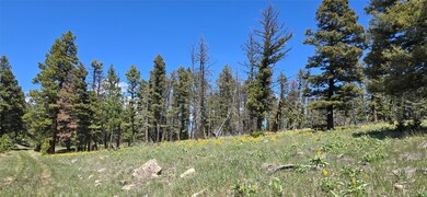 6 Tract Bull Elk, Drummond, MT 59832 - photo 2