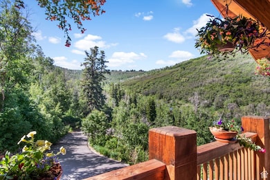 10129 N Basin Canyon Rd, Park City, UT 84098 - photo 3