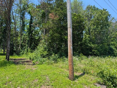 PXL_20250610_180919547.MP